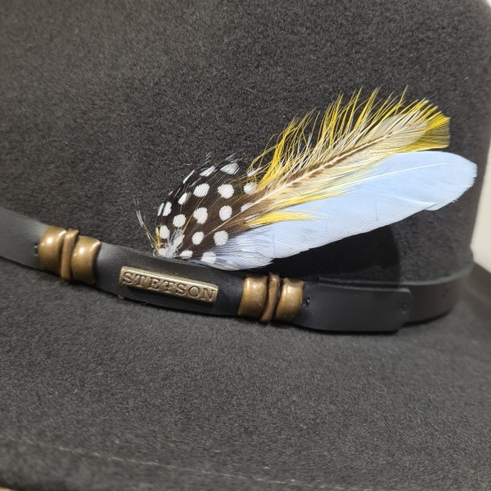 Traveller cache-oreilles Stetson