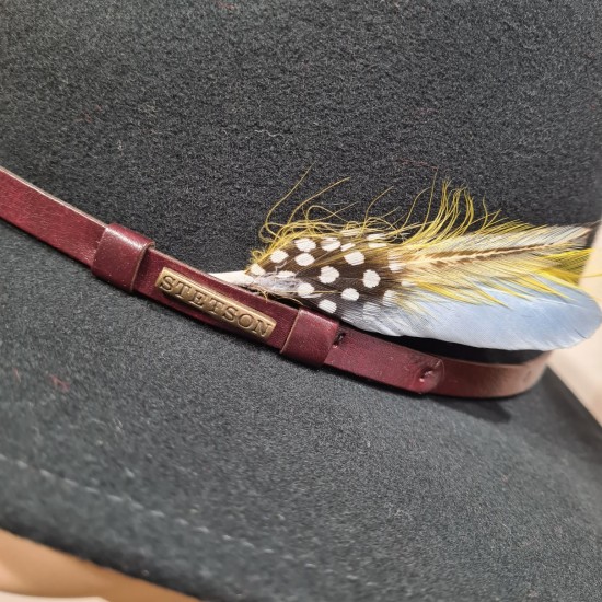 Chapeau Vitafelt Trandell Stetson