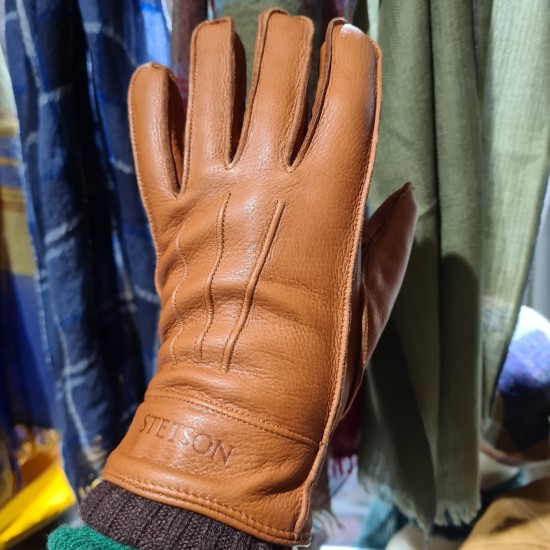 Gants en cuir et cachemire Stetson