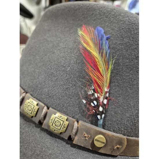 Chapeau Western Stetson